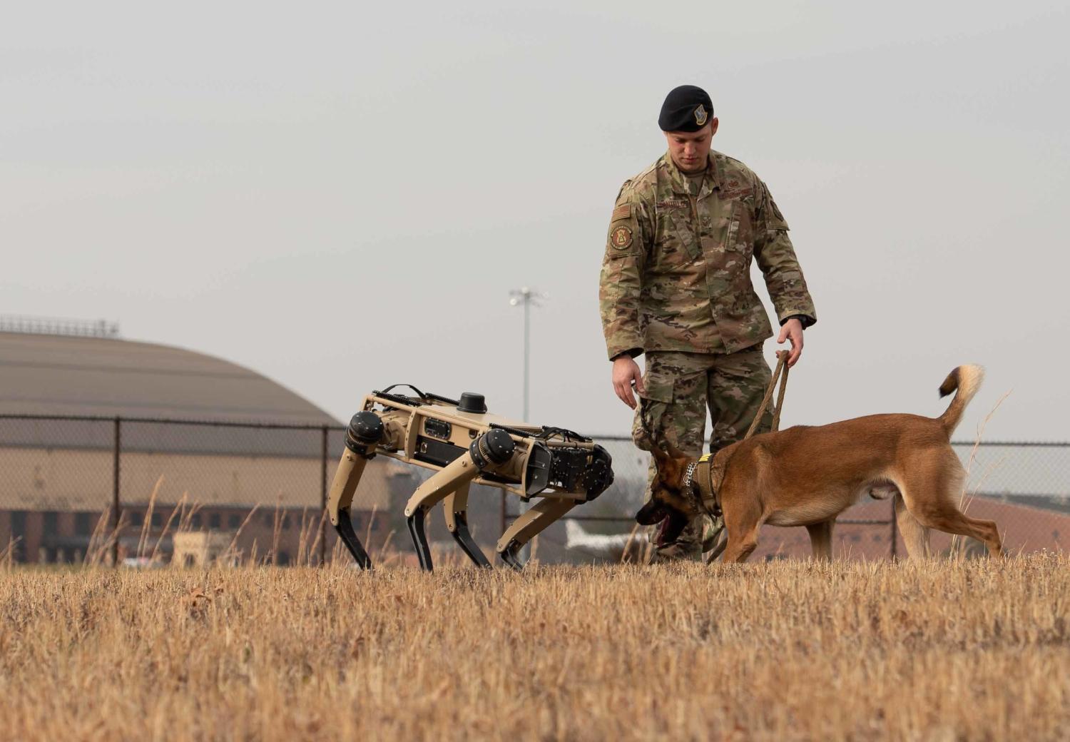 U.S. Air Force Staff Sgt. Carmen Pontello, 375th Security Forces Squadron military working dog trainer, introduces Hammer, 375th SFS military working dog, to the Ghost Robotics Vision 60 at Scott Air Force Base.