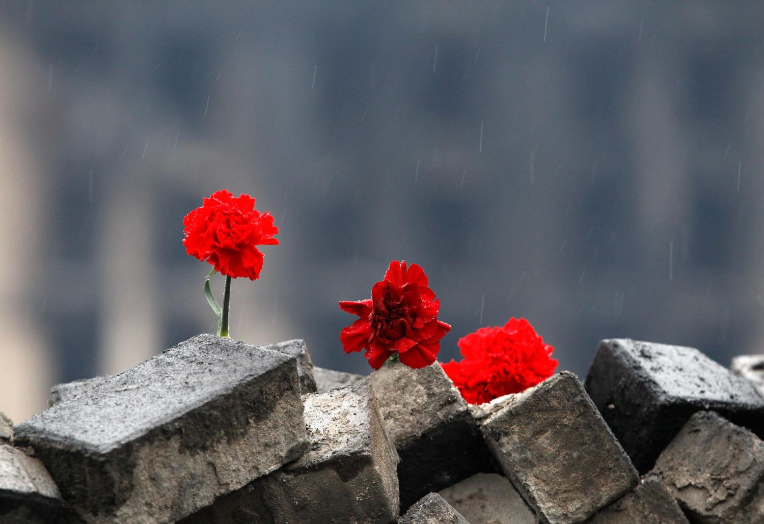 Flowers are left at a barricade in memory of anti-government protesters killed in recent clashes in central Kyiv, February 22, 2014.