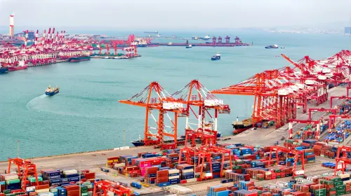 The container loading and unloading at the Qianwan Container Terminal of Qingdao Port in Qingdao, Shandong province, China, Feb 2, 2024.