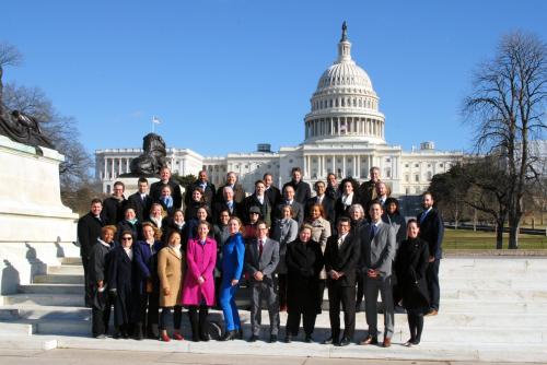 LEGIS Fellows on the steps to the capitol