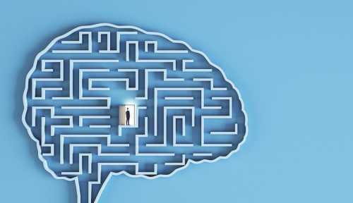 image of brain with maze inside