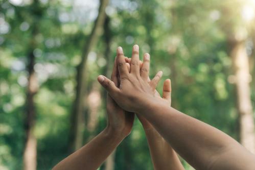 diverse hands coming together in a unified high-five gesture against a blurred forest background, symbolizing teamwork and unity in nature.