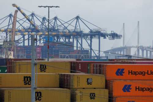 Shipping containers are shown at the Terminal 1 Container Terminal at the Port of Los Angeles in Wilmington, California, U.S., October 17, 2024.