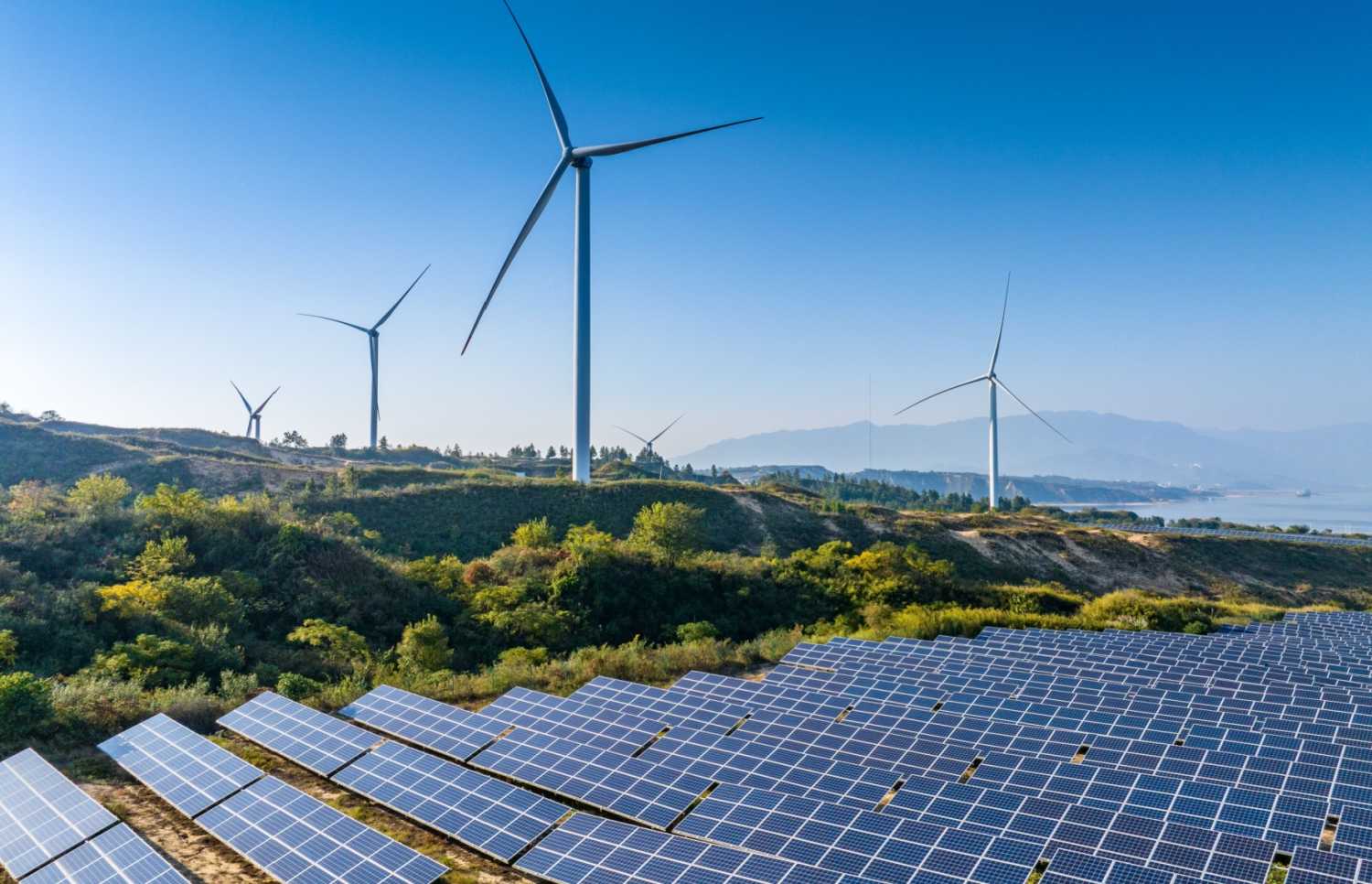 Solar panels and windmills