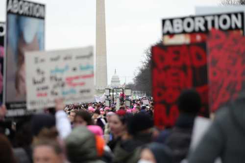 Progressive activists march during the People's March in Washington, D.C. on January 18, 2025.