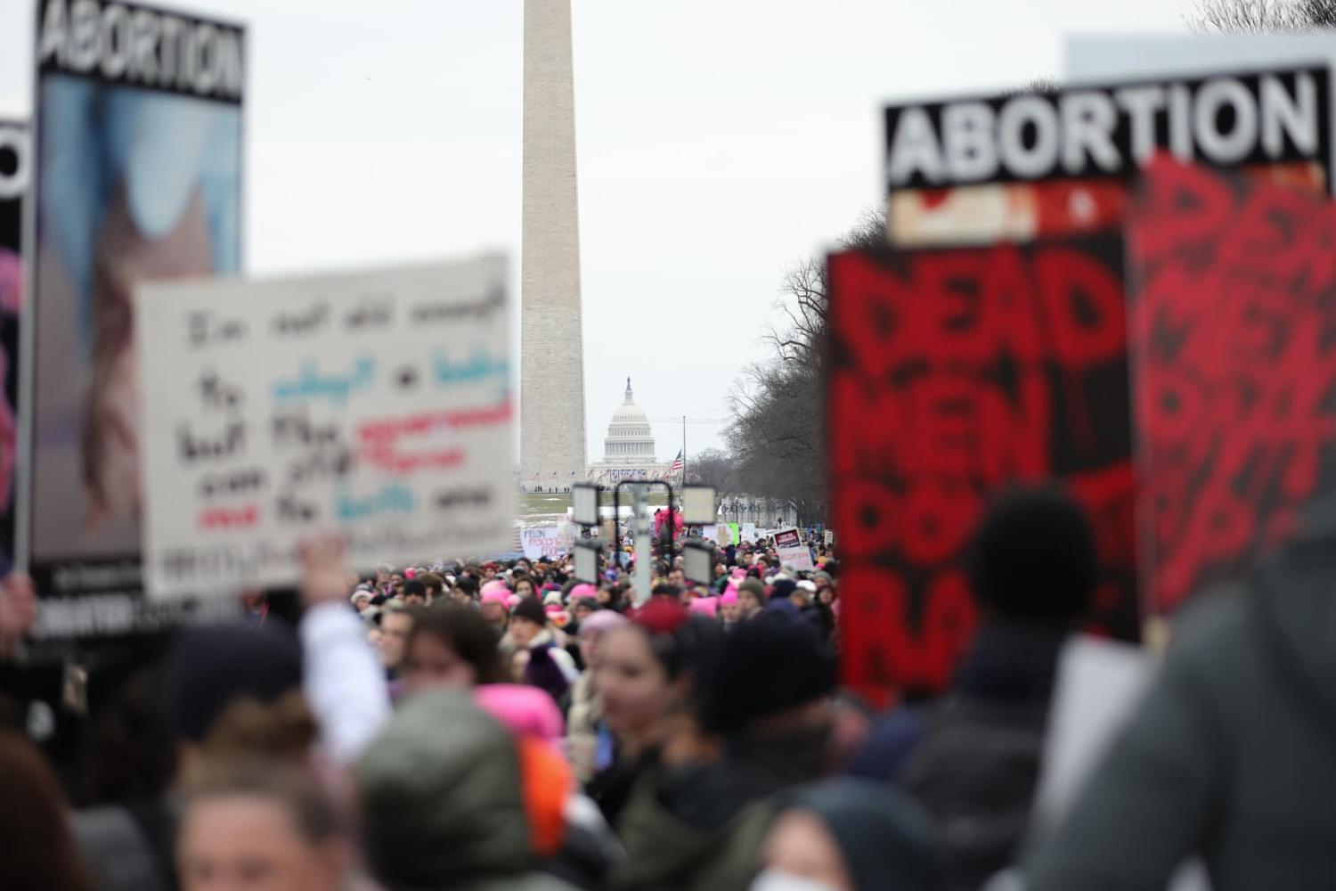 Progressive activists march during the People's March in Washington, D.C. on January 18, 2025.