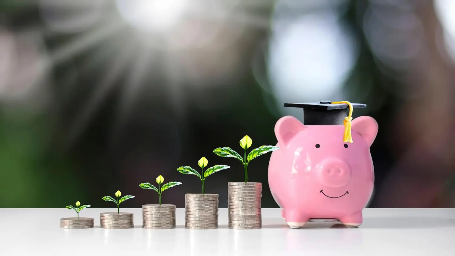 An illustration featuring a growing plant on coin piles and a piggy bank wearing a mortarboard in front of a blurred green nature background.
