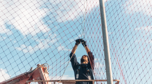 This paper examines how the U.S. safety net has expanded since 1970 to cut poverty nearly in half.