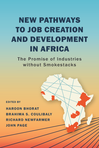 Book cover for "New Pathways to Job Creation and Development in Africa: The Promise of Industries Without Smokestacks"