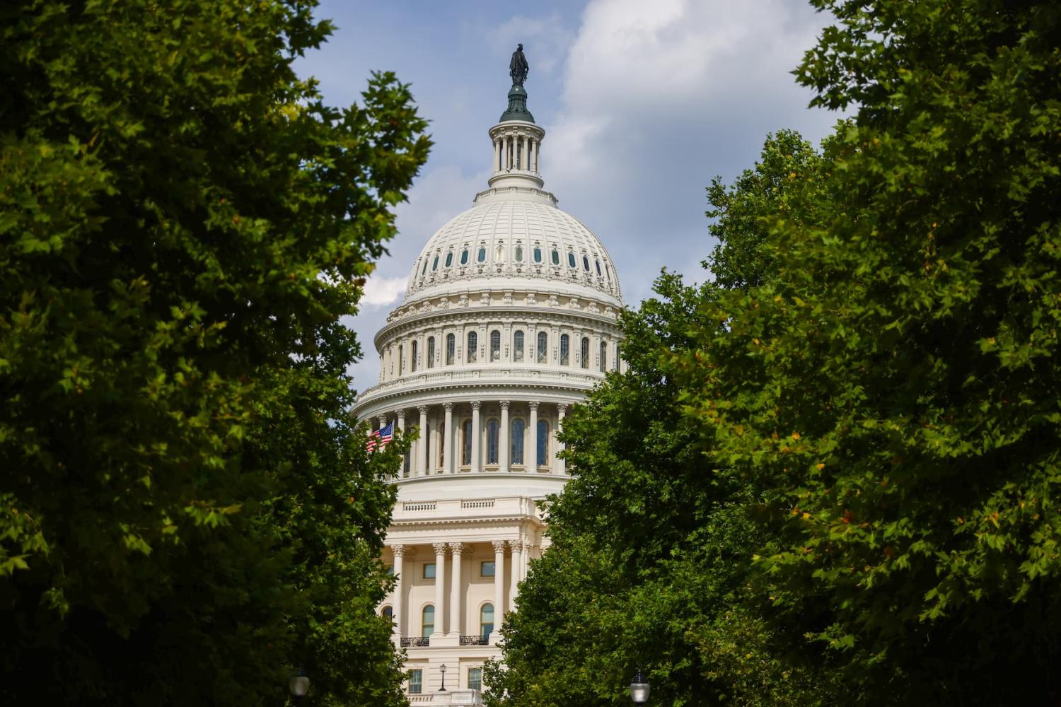 The U.S. Capitol building in Washington D.C., United States of America on July 8th, 2024. (Photo by Beata Zawrzel/NurPhoto)