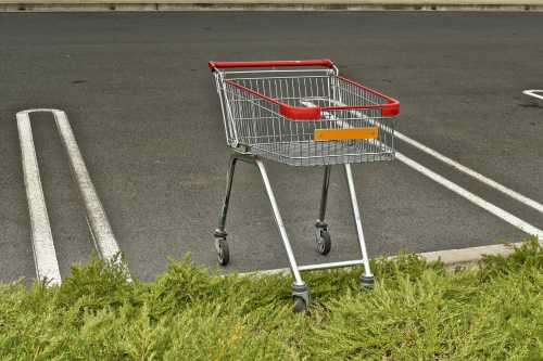 Shopping cart on curb