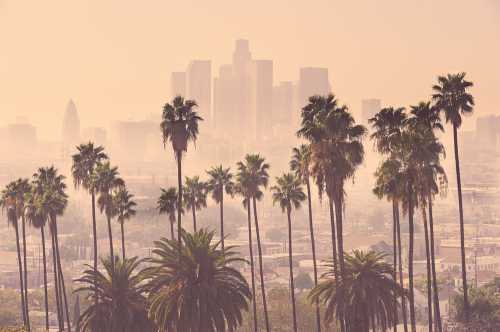 Los,Angeles,Skyline,With,Palm,Trees,In,The,Foreground
