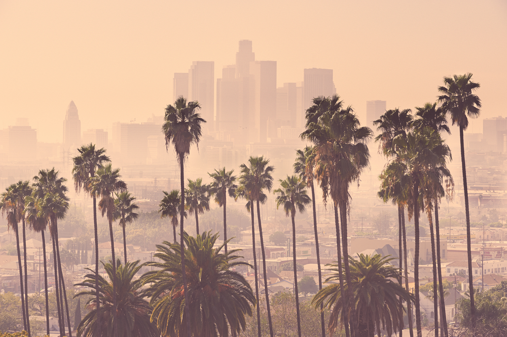 Los,Angeles,Skyline,With,Palm,Trees,In,The,Foreground