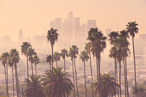 Los,Angeles,Skyline,With,Palm,Trees,In,The,Foreground
