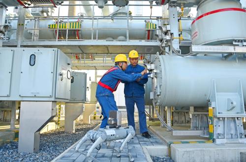 A 5G quadruped intelligent inspection robot and operation and maintenance personnel conduct intelligent inspection operations on the main equipment within the 500-kilovolt Langfeng Substation in Chuzhou City, Anhui Province, China, on July 25, 2025.