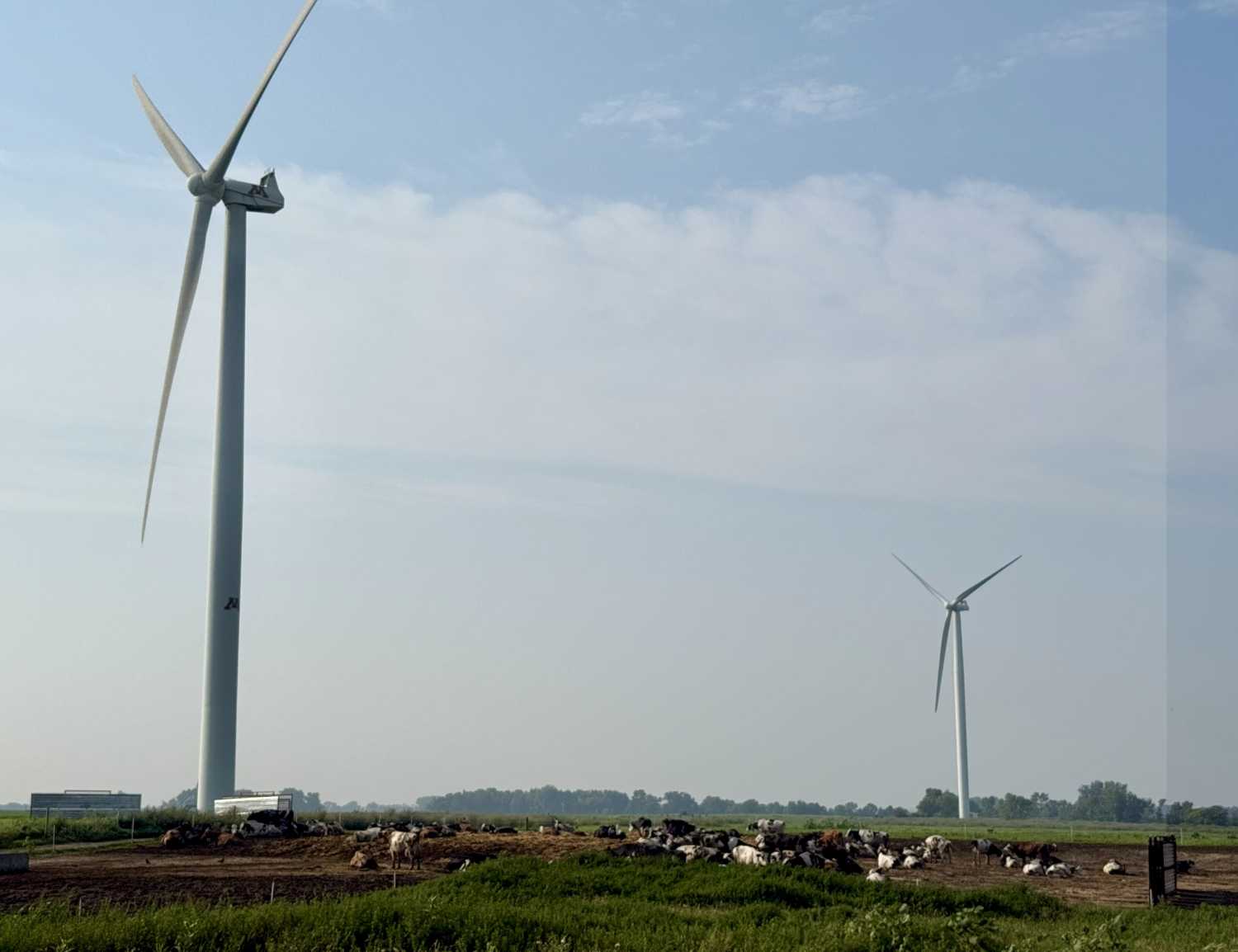 Wind turbines on the prairie, Morris, Minnesota