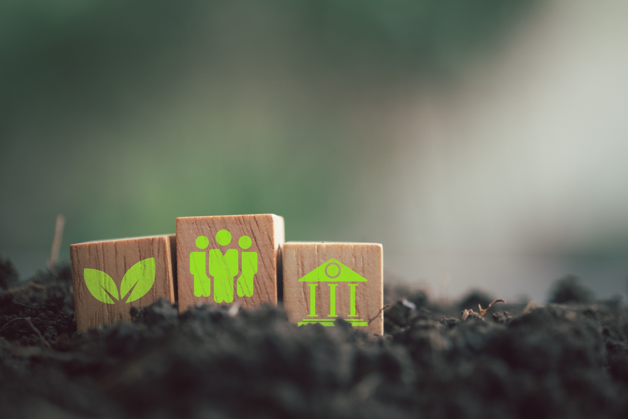 Fiscal policy for sustainable development: Achieving social and ecological goals