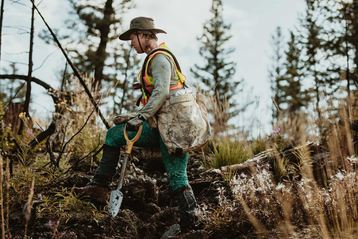 Forester walking through deforested land in forest carrying bag full of trees and a shovel. Woman working in forestry.