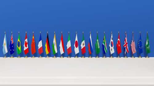 G20 member flags