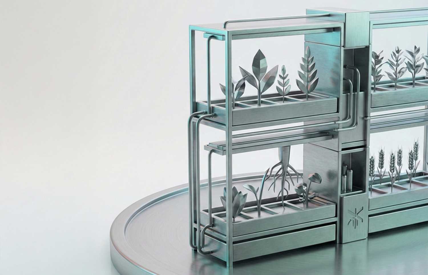Plants on a shelf