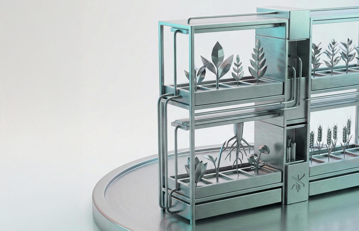 Plants on a shelf