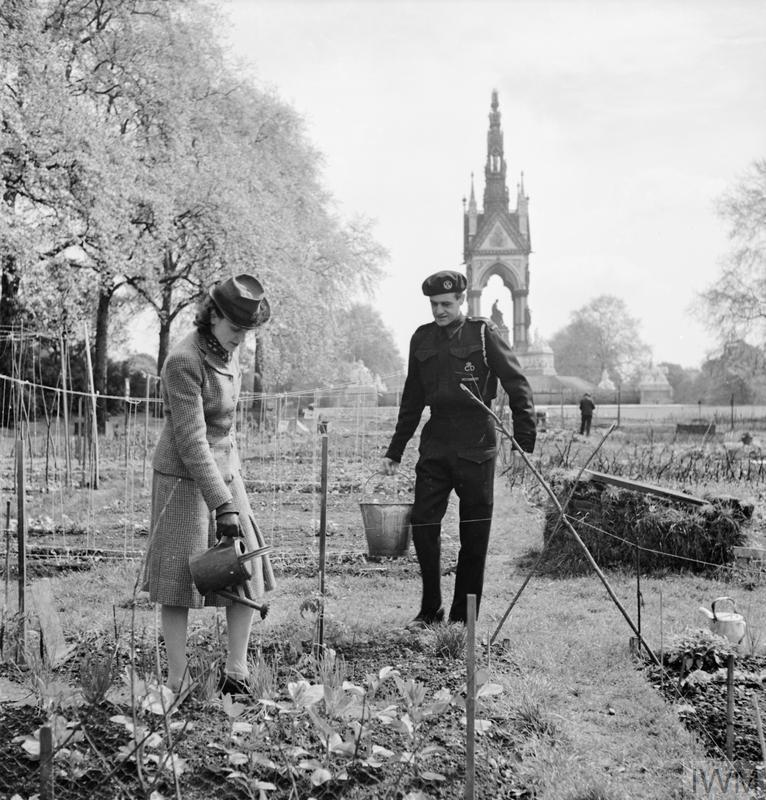 A woman waters the vegetables on her allotment in Kensington Gardens as a Westminster Civil Defence Warden (possibly her husband), carries a bucket towards her.