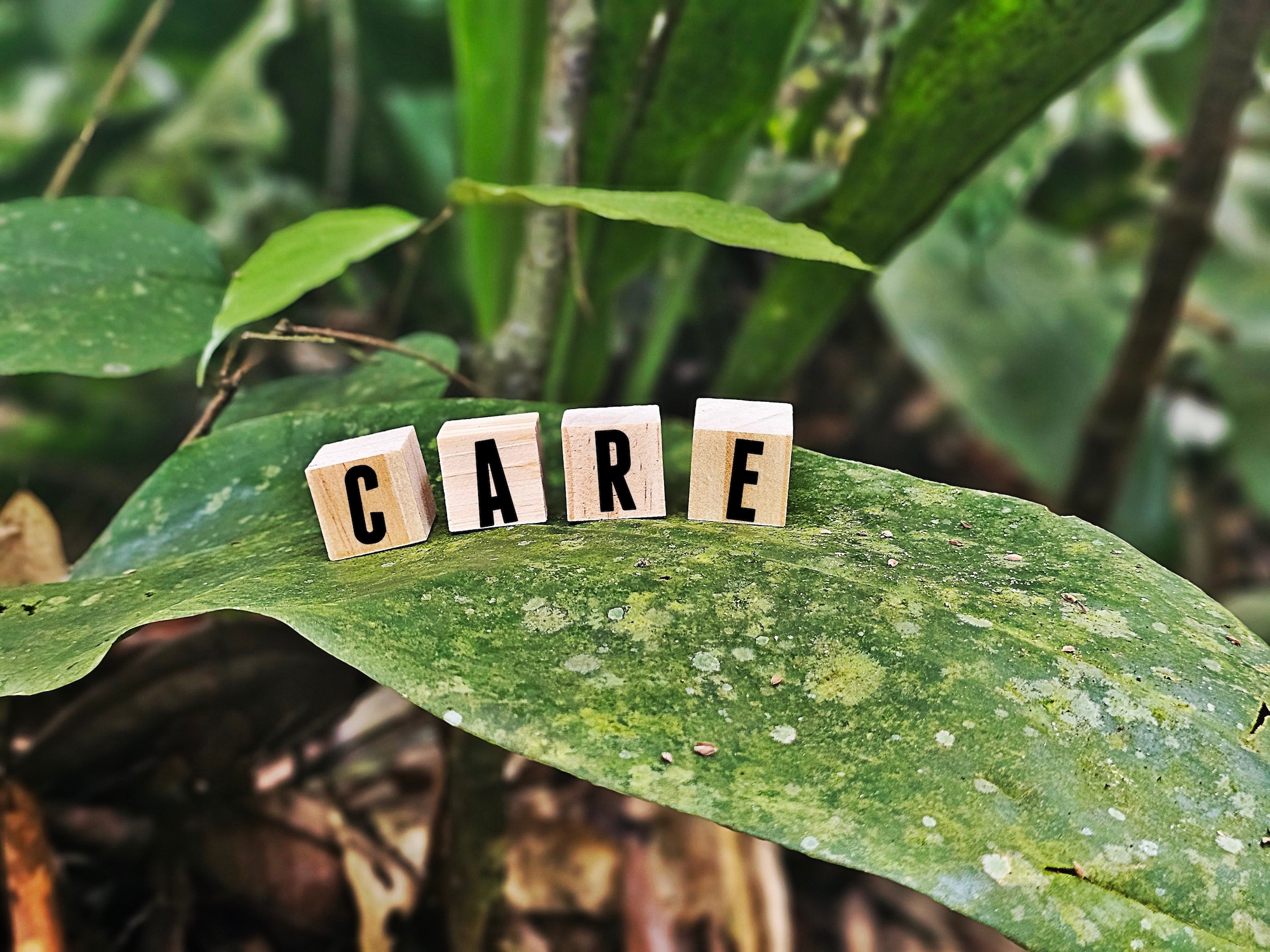 Care services support effective climate adaptation: Mapping care within National Adaptation Plans and Nationally Determined Contributions
