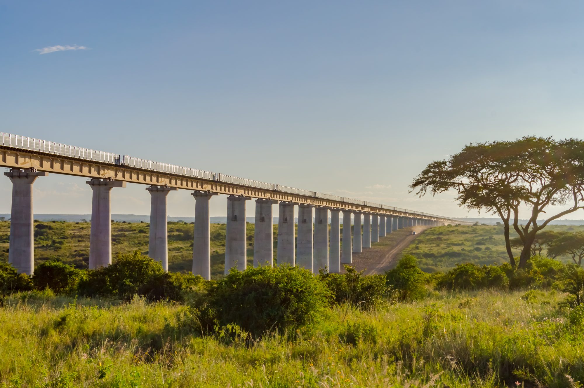Africa’s ‘idle trillions’ are already hard at work