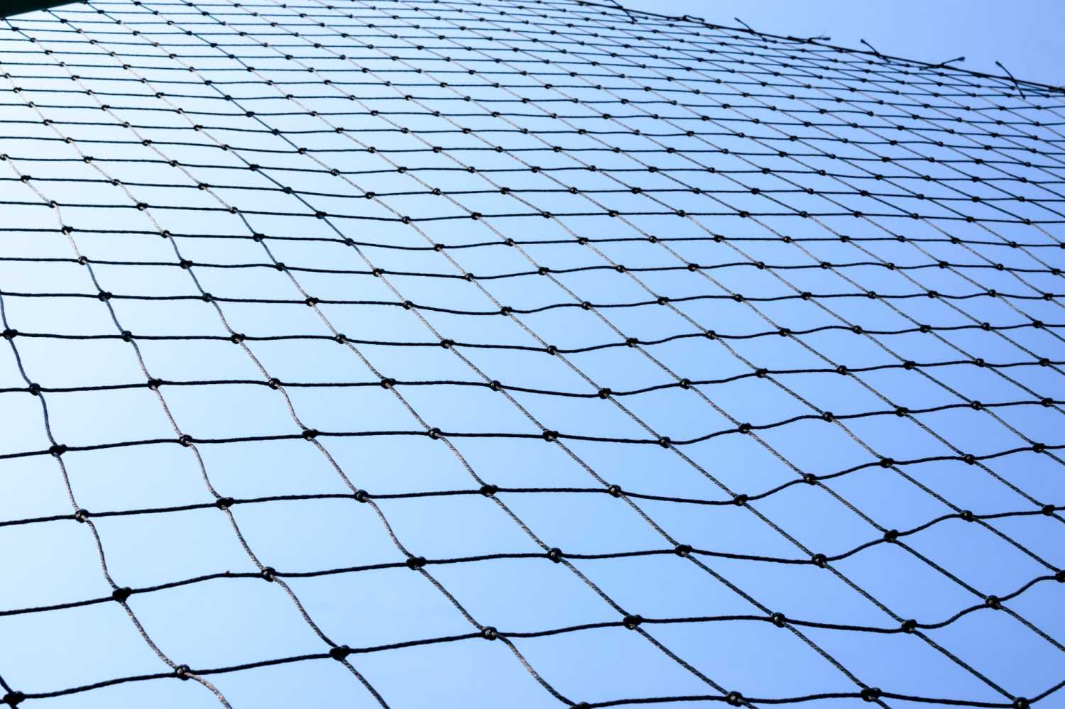 Safety net