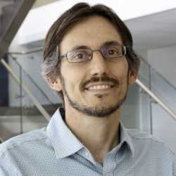 danilo trisi headshot