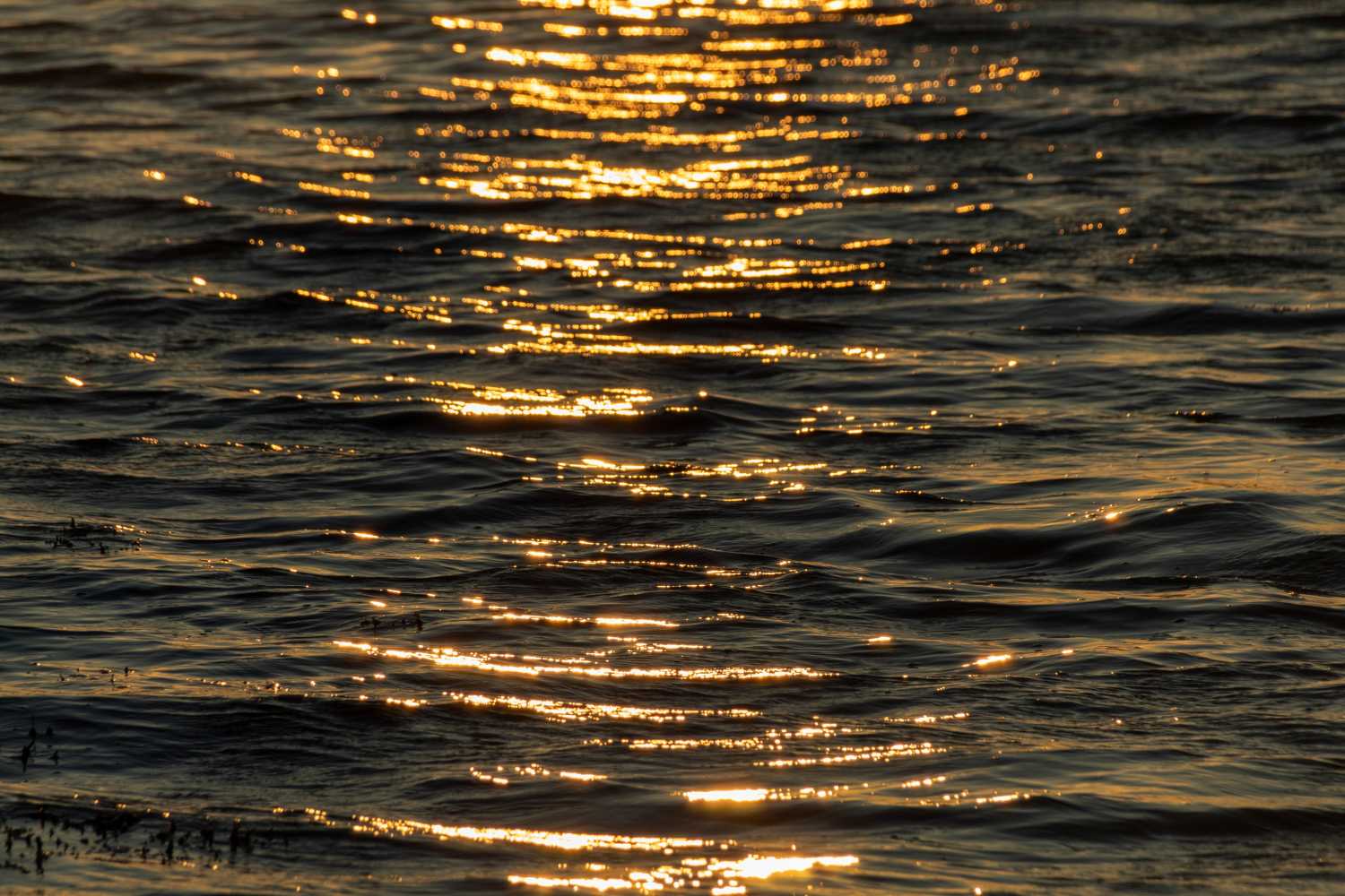 Sunset on the surface of water